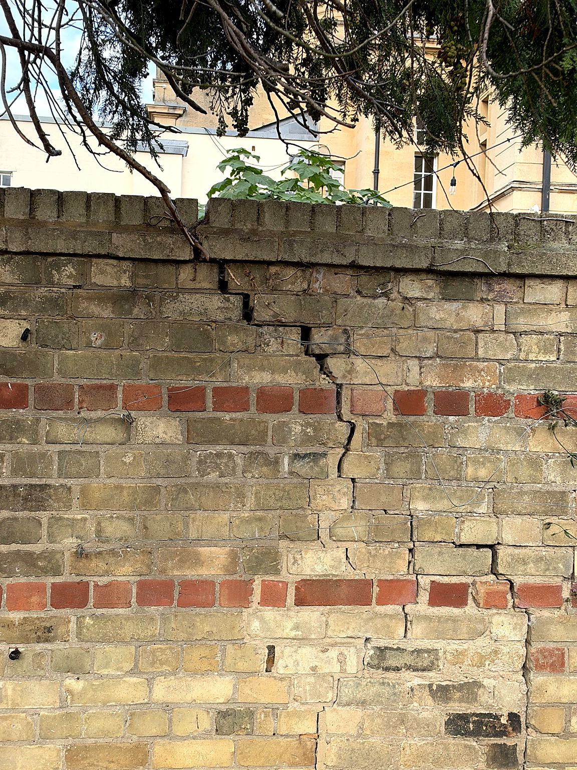 RICS Specific Defect Report